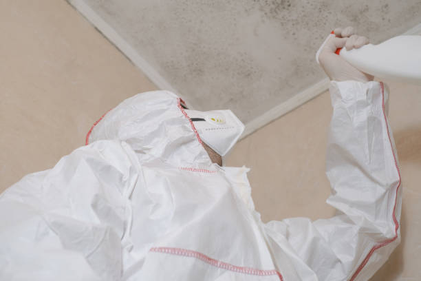 Mold Remediation for Vacation Homes in Wolfe City, TX